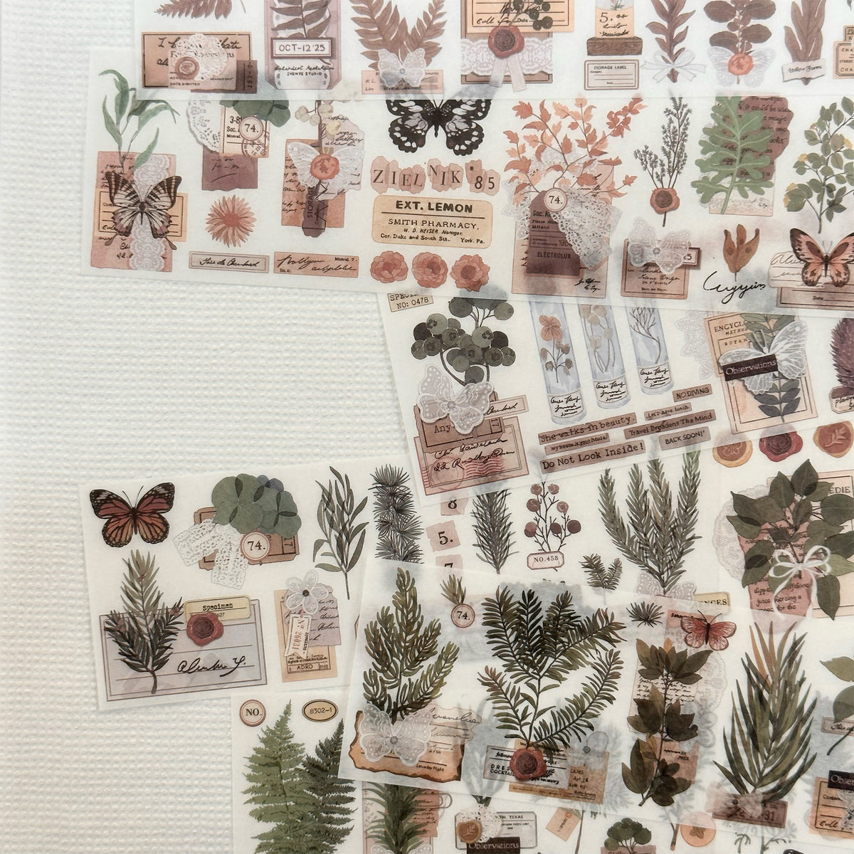 Wild Herbarium