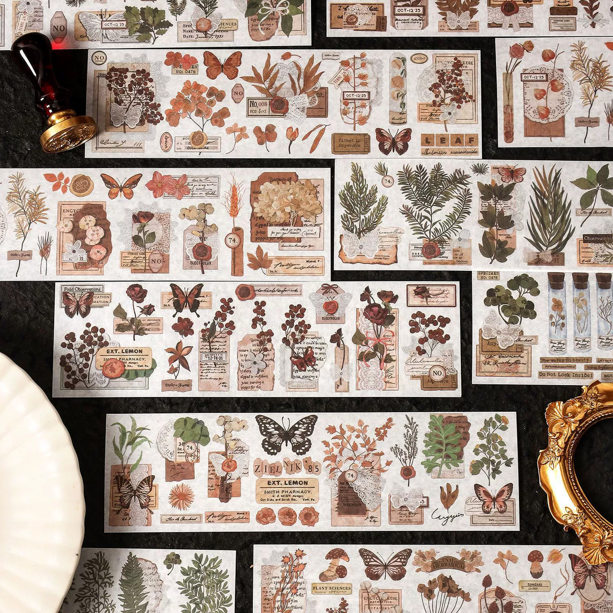 Wild Herbarium