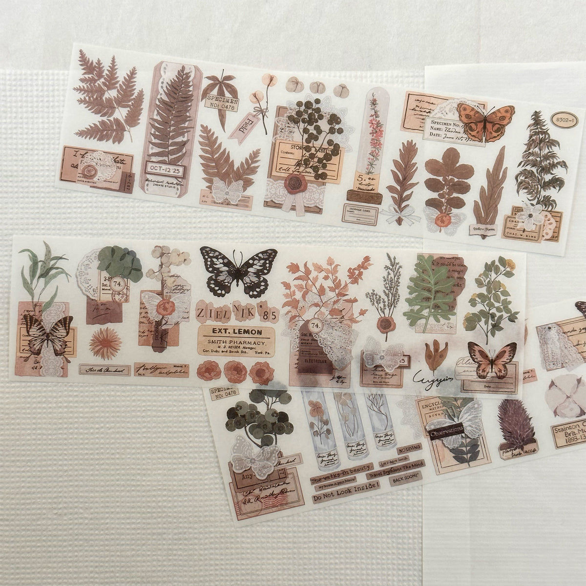 Wild Herbarium