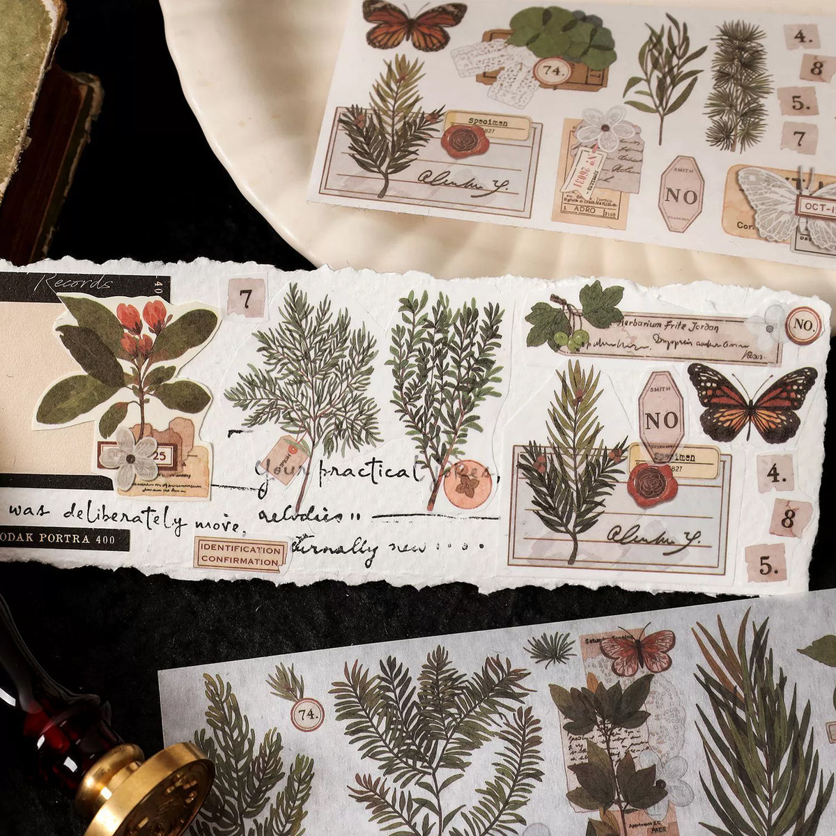 Wild Herbarium