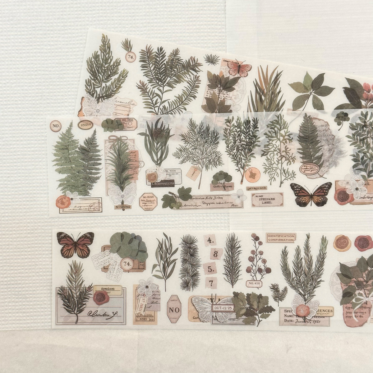 Wild Herbarium
