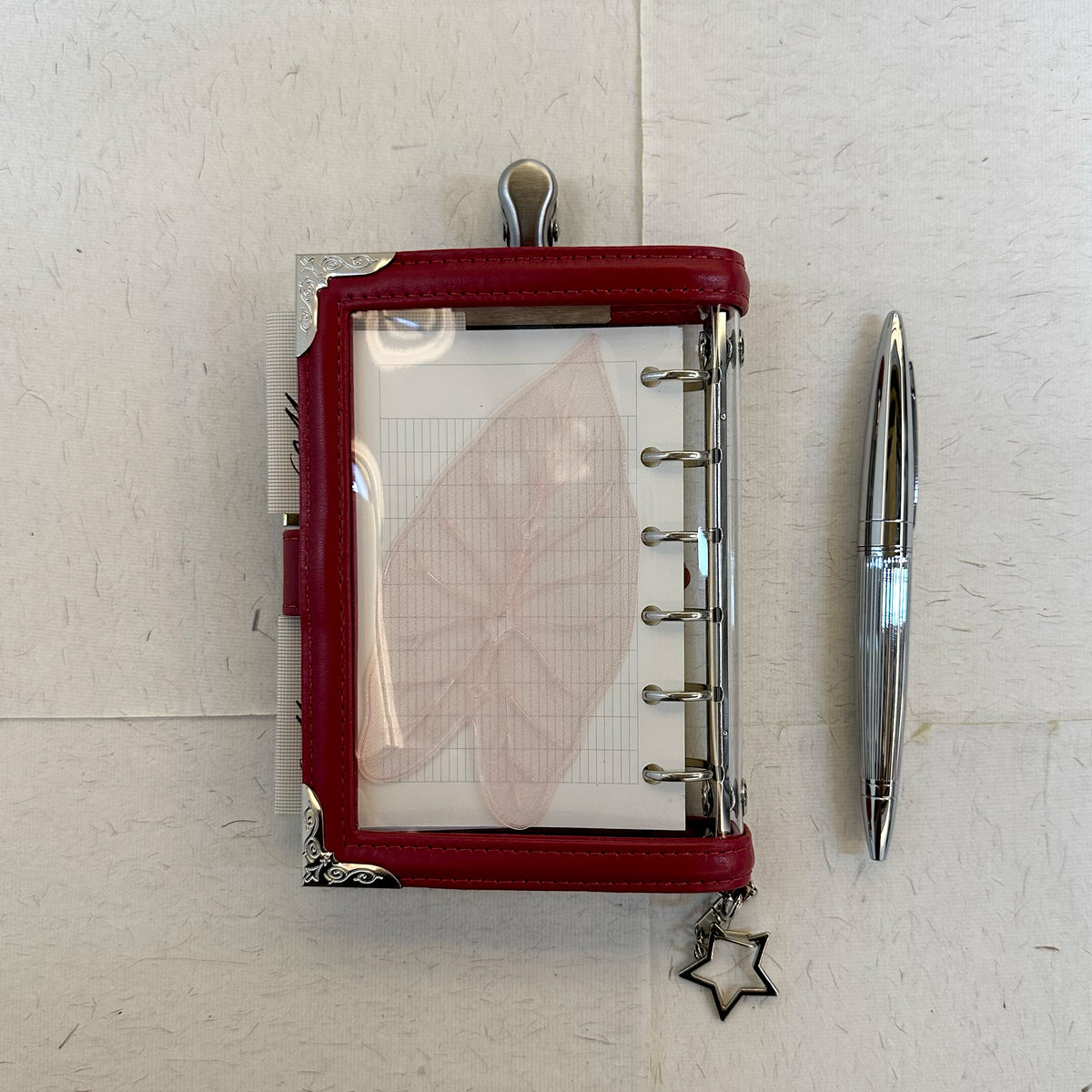 Ruby Window