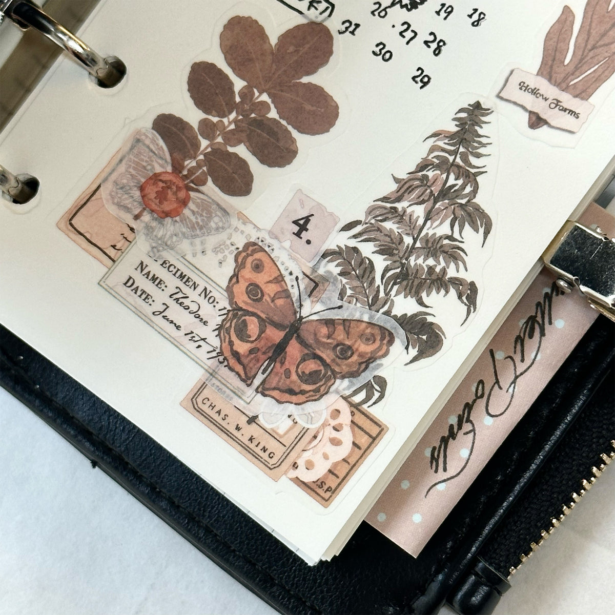 Wild Herbarium