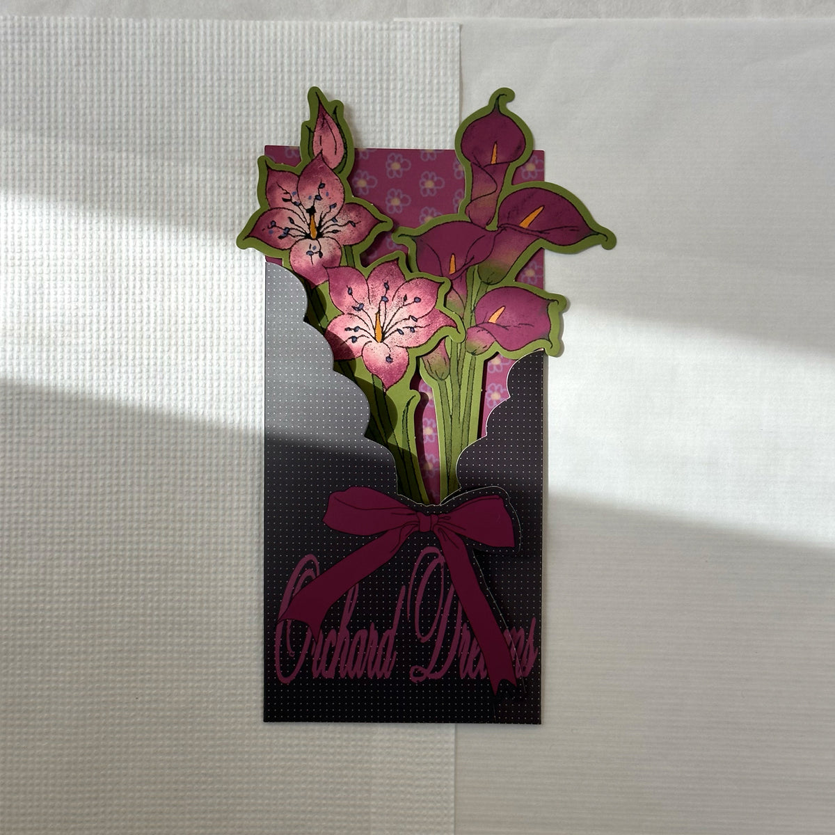 Orchid Dream