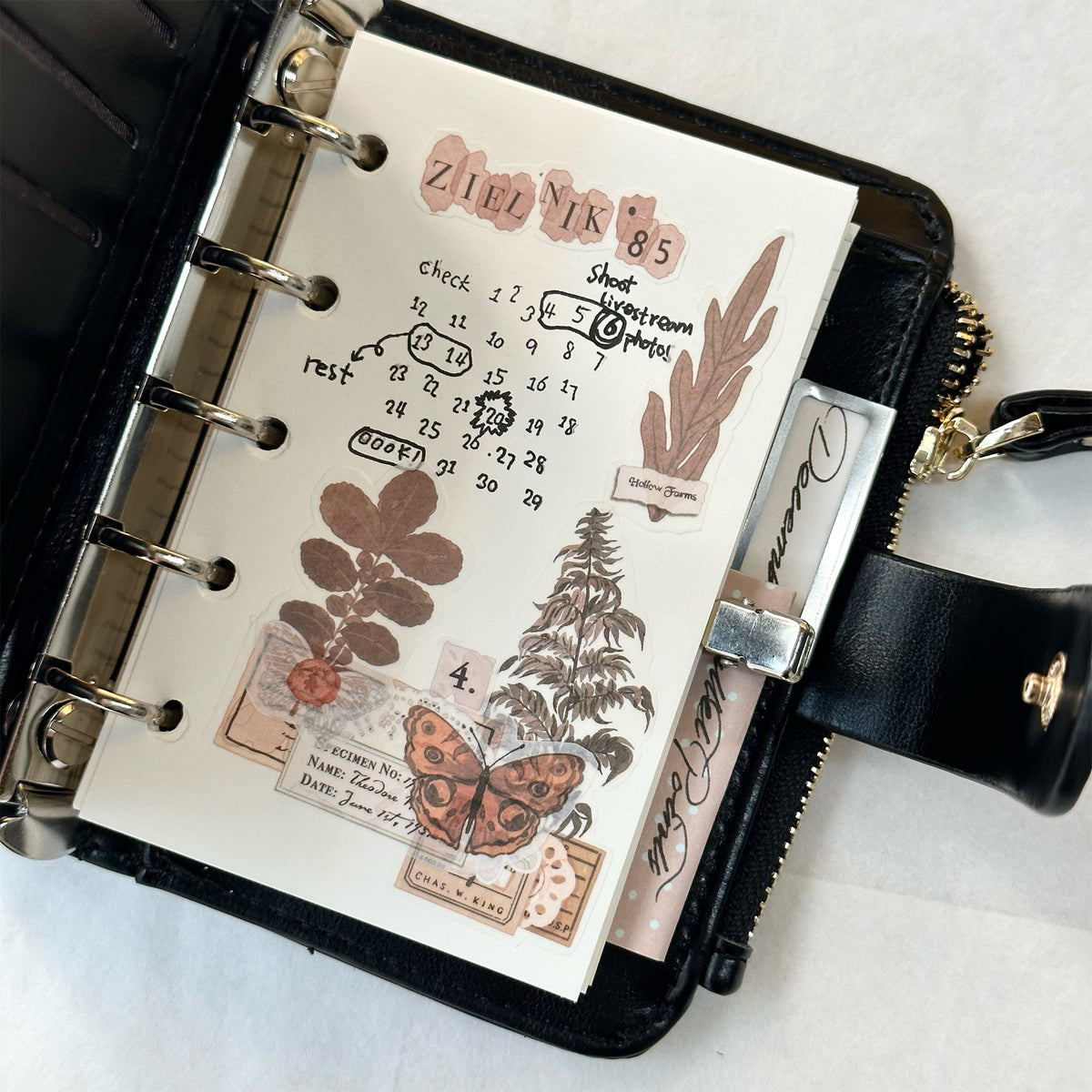 Wild Herbarium