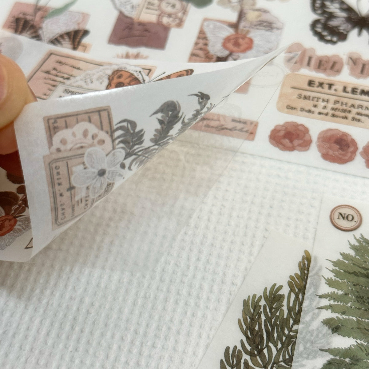 Wild Herbarium