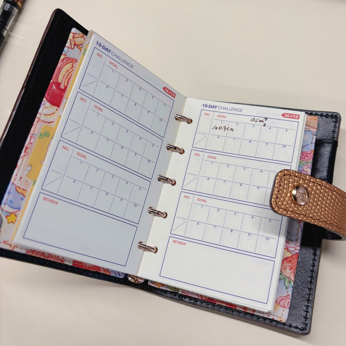 10-Day Challenge