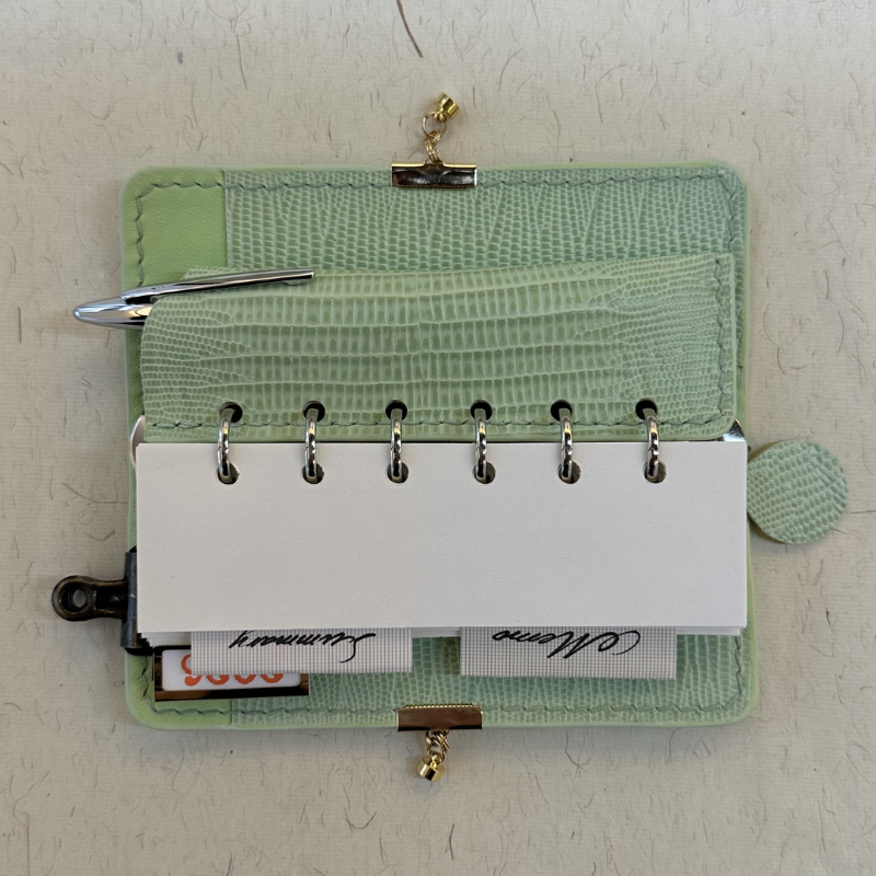 Mint Lizard Mini