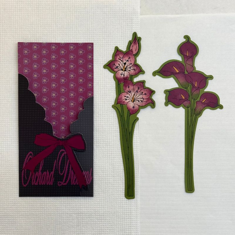Orchid Dream