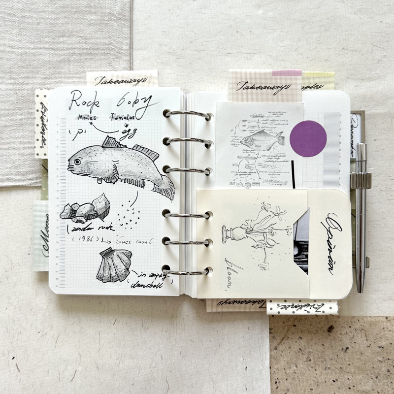Index 5.0 Notebook