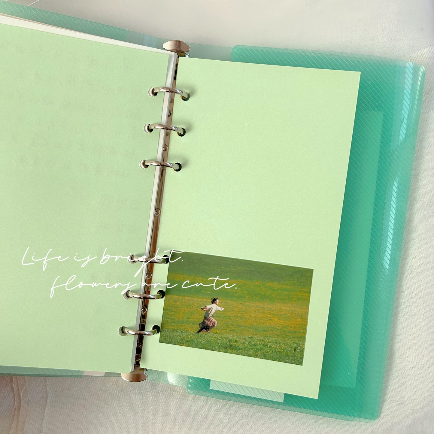 A Letter from Spring