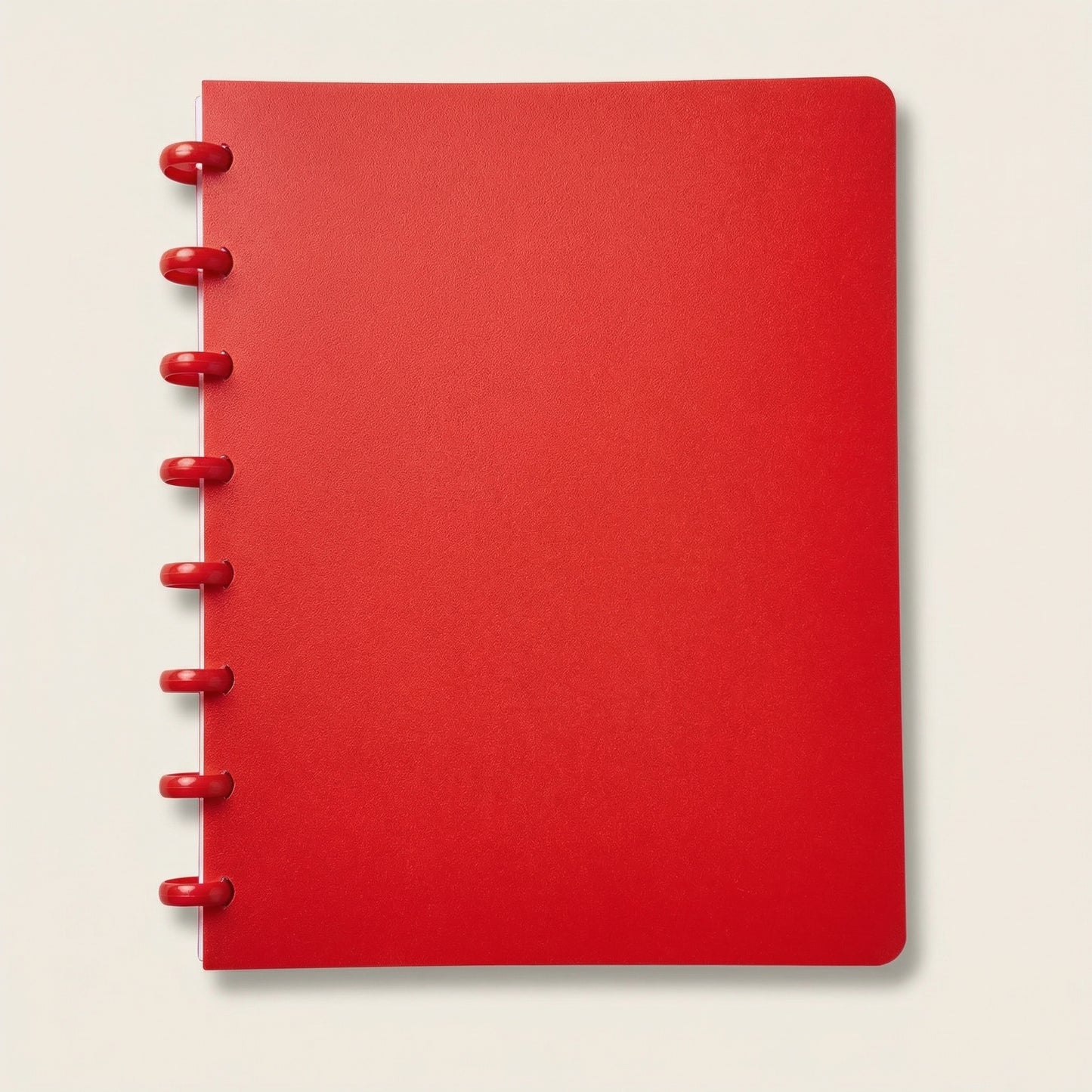 6-pack Daily Notebook