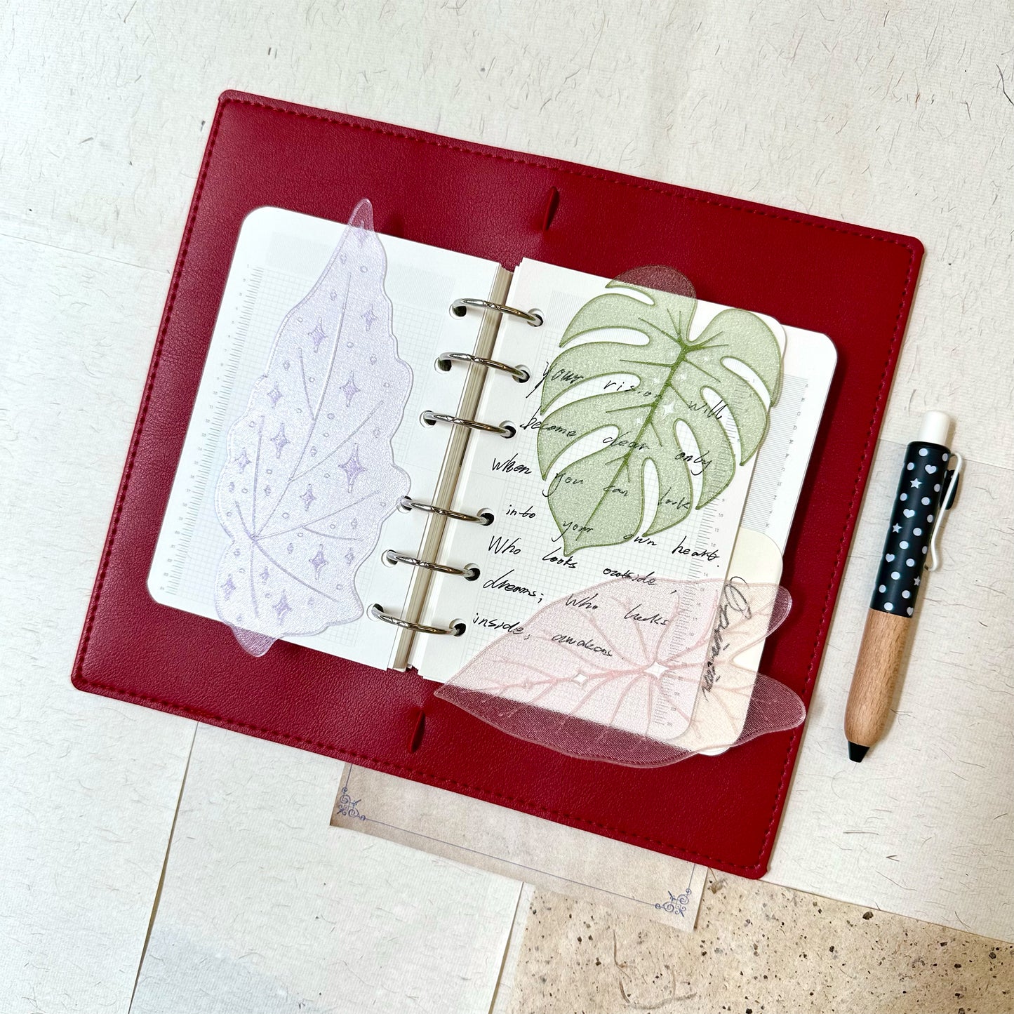 Monstera