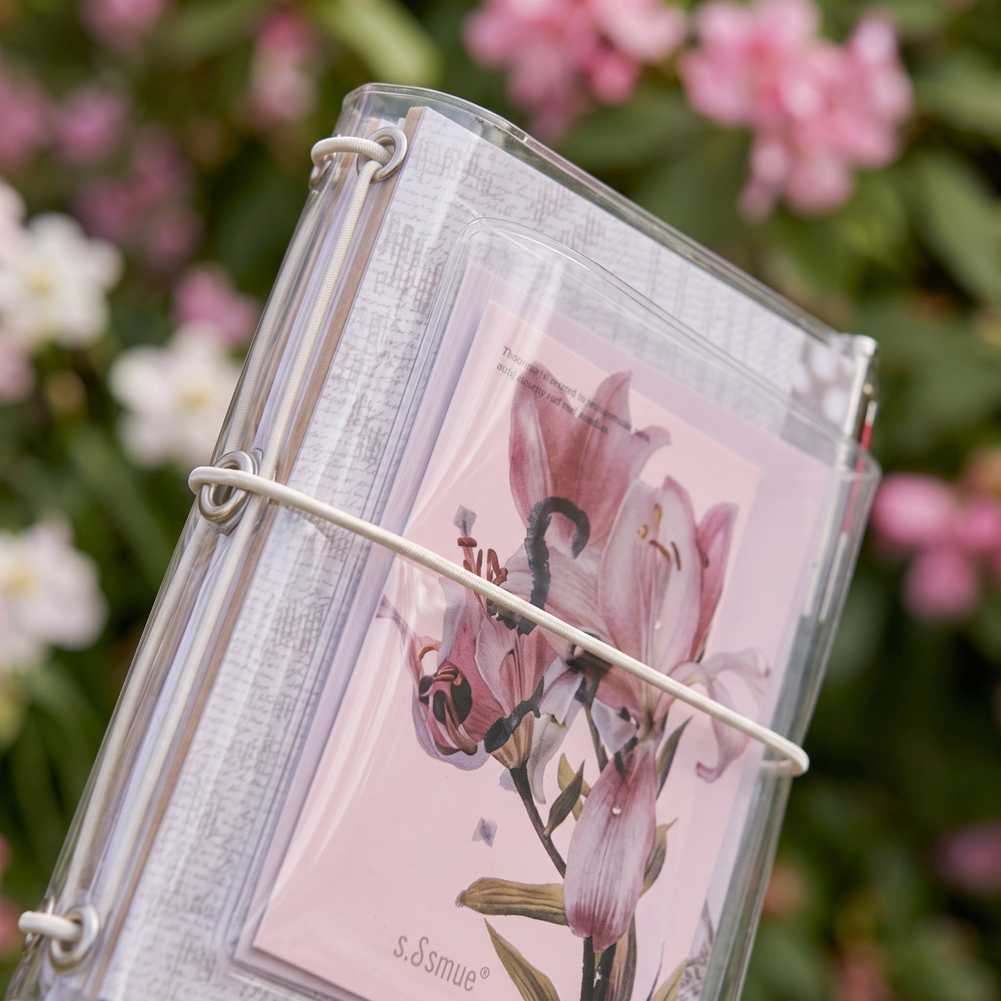 Clear Bloom