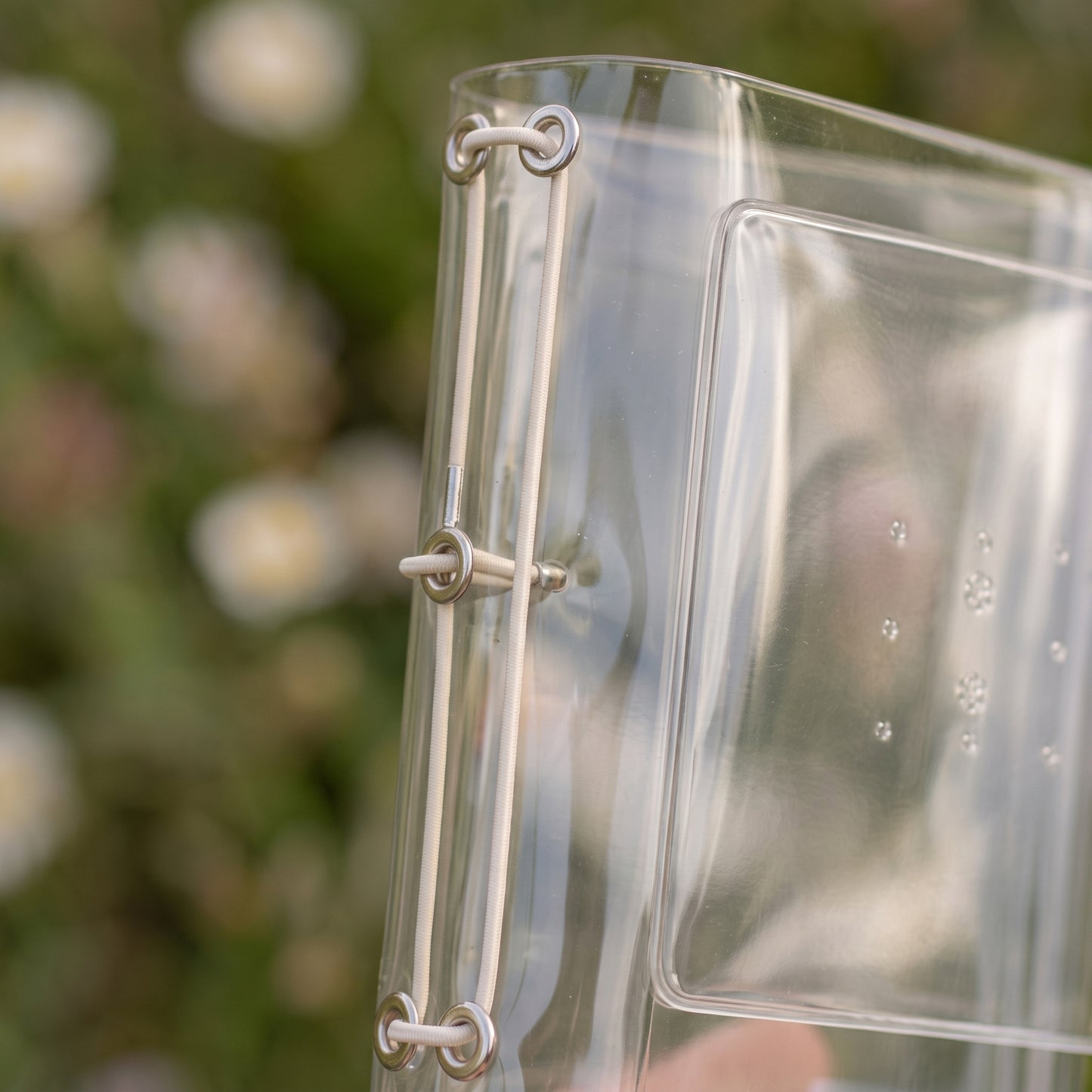 Clear Bloom