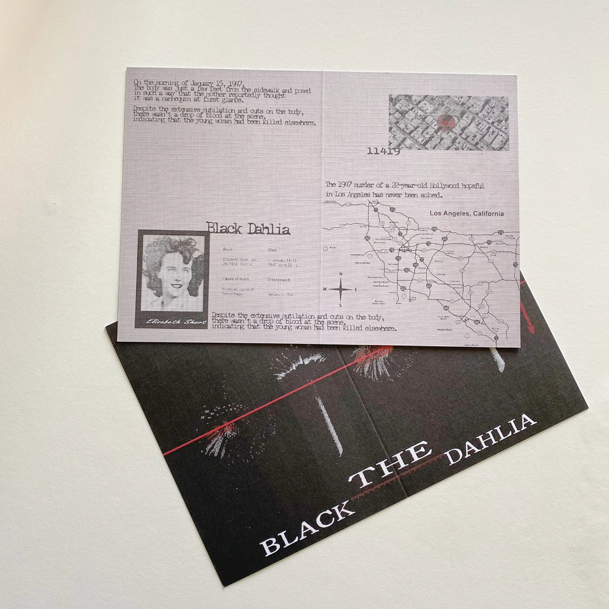 Black Dahlia