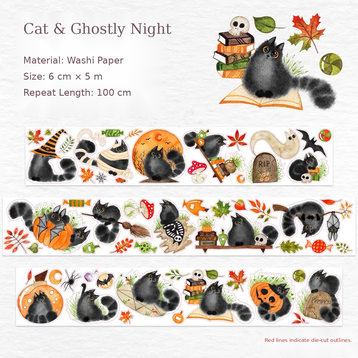 Midnight Paws