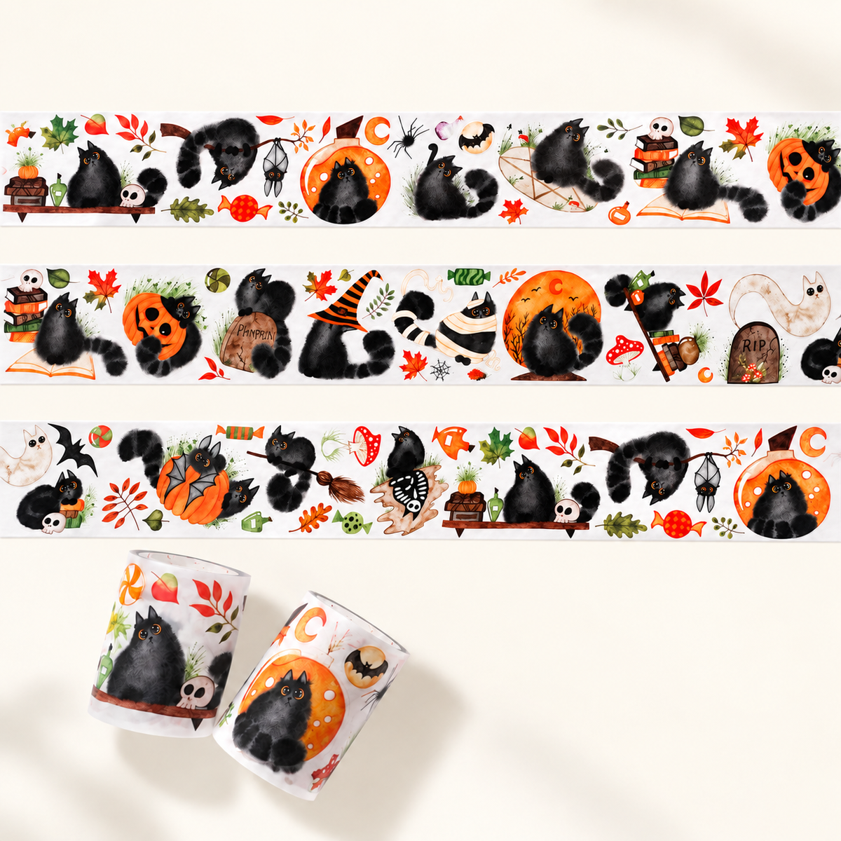 Midnight Paws